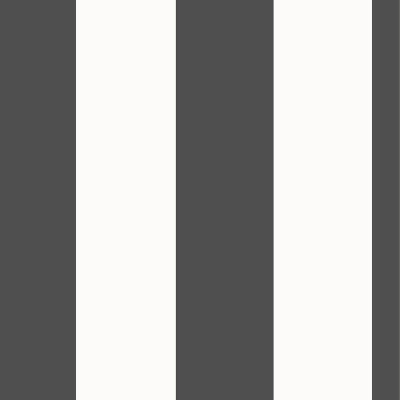 Stripe Wallpaper Black and White Rasch 286694