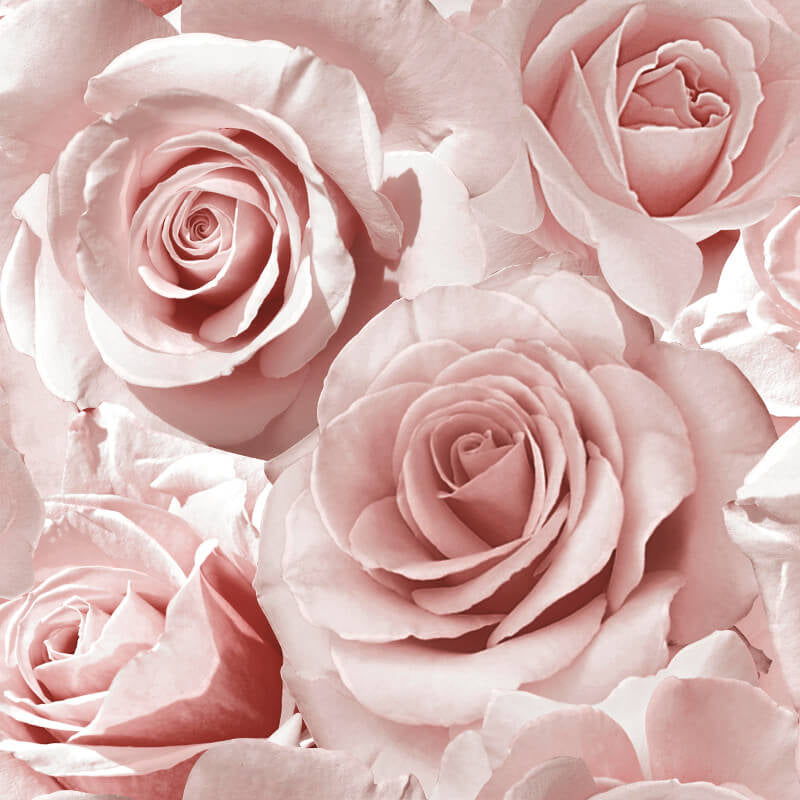 Madison Rose Glitter Floral Wallpaper Raspberry and Blush Pink Muriva 139521