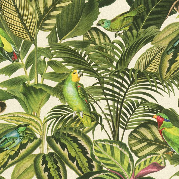 Freundin Tropical Parrot Wallpaper Green / Cream Rasch 439533